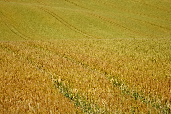 f0037227_19234139.jpg