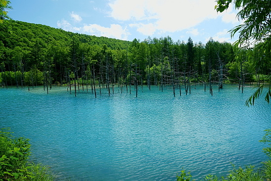 f0037227_1923521.jpg