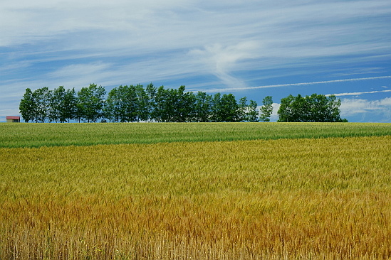 f0037227_19235430.jpg