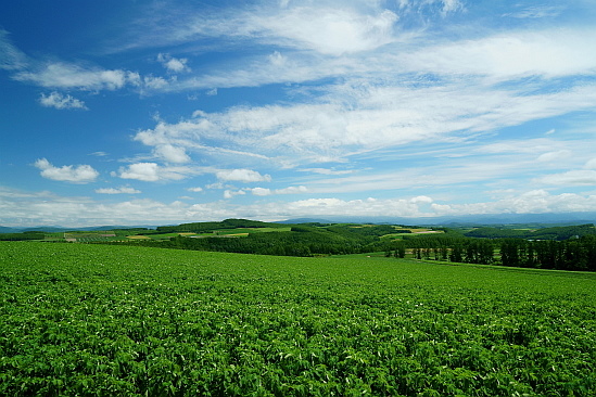 f0037227_19245480.jpg