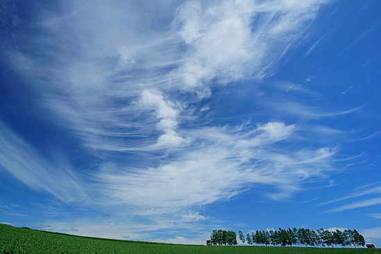 f0037227_19251889.jpg