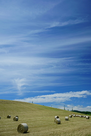 f0037227_19253013.jpg