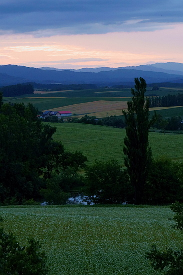 f0037227_19272462.jpg