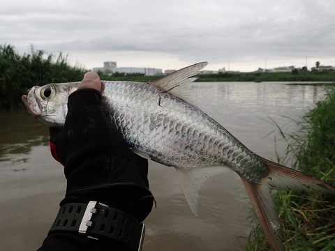 f0280739_23364770.jpg