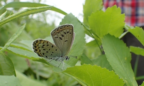 d0285540_05260215.jpg