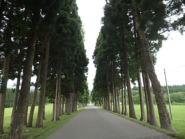 c0137641_1355848.jpg