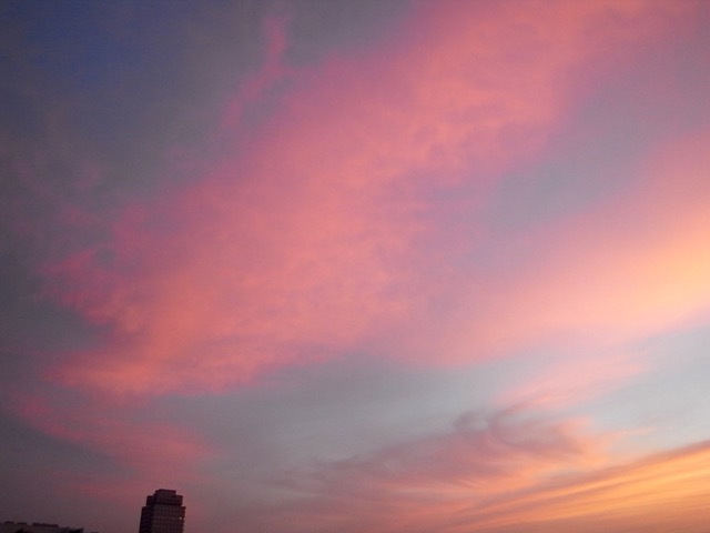 d0350542_15332757.jpg