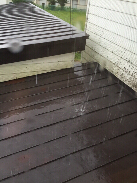 f0104042_06570130.jpg