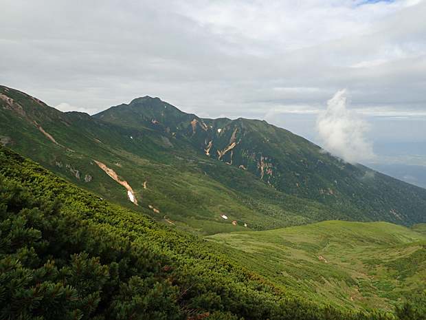 f0214649_553556.jpg