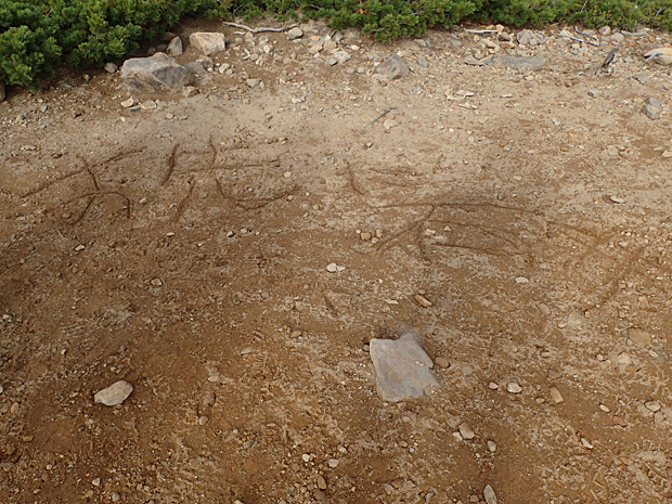 f0214649_615213.jpg