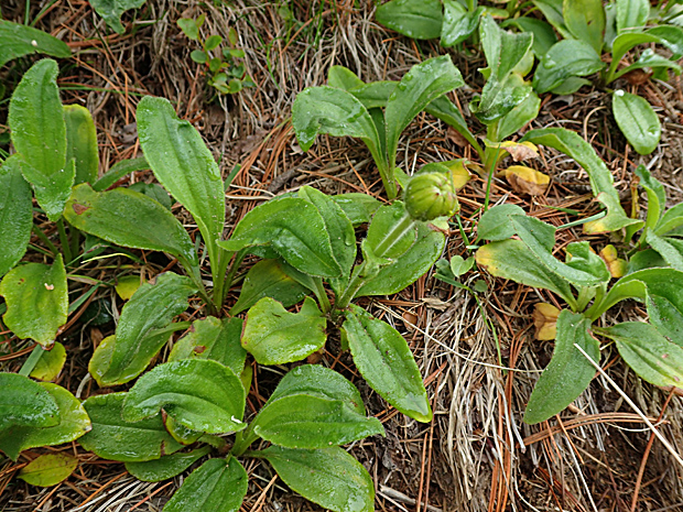 f0214649_632951.jpg