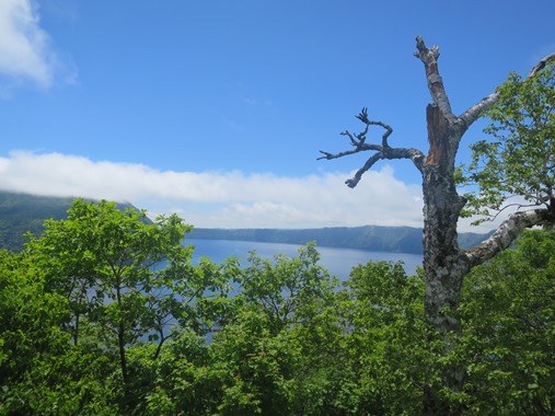 f0202151_1043943.jpg