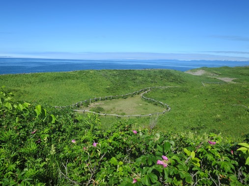 f0202151_11415473.jpg