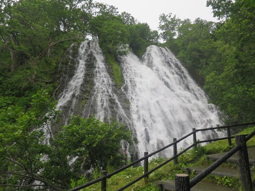 f0202151_11481435.jpg
