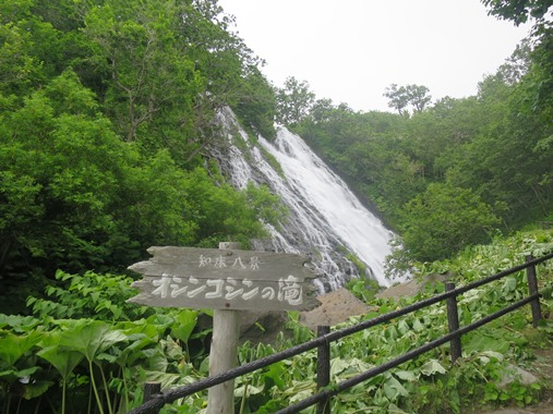f0202151_1149210.jpg