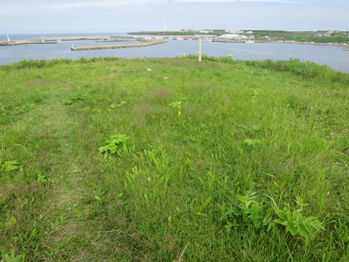 f0202151_16522014.jpg