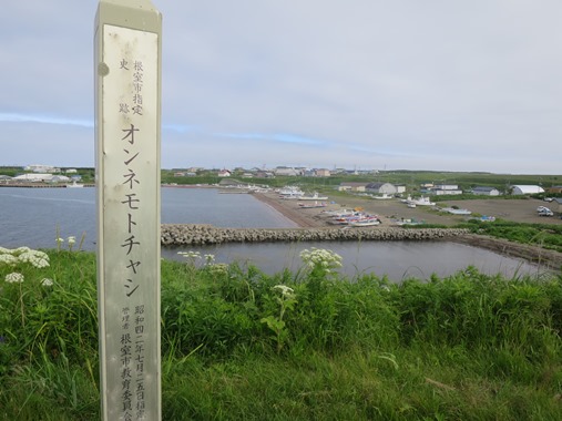 f0202151_16531537.jpg