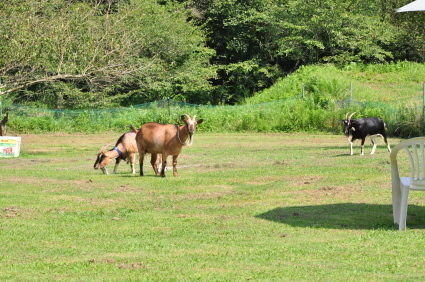 b0214652_17010413.jpg