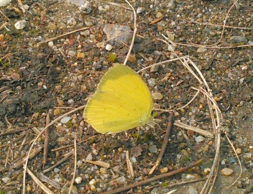 a0018655_10374790.jpg