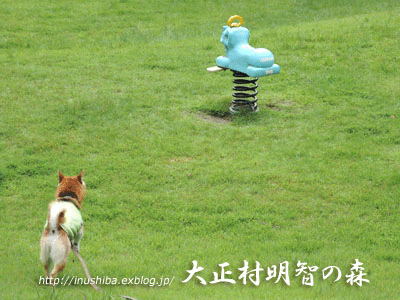 a0286855_6311997.gif