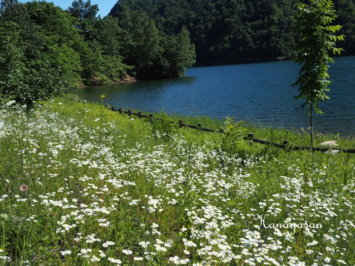 b0186563_10270040.jpg