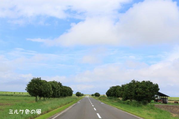 c0368870_22421476.jpg
