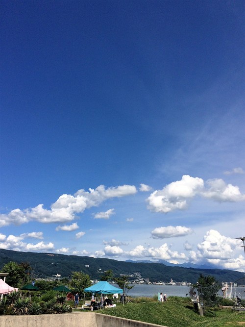 a0240971_791336.jpg