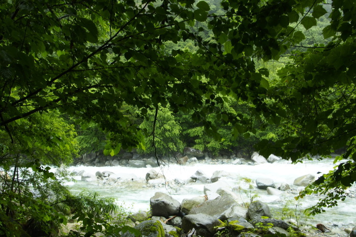 e0307372_09370055.jpg