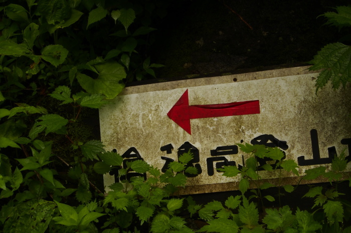 e0307372_10035218.jpg