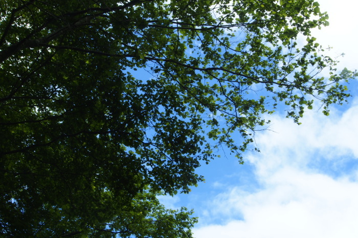e0307372_10141627.jpg