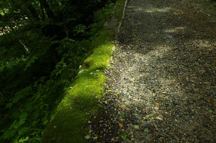 e0307372_10212187.jpg