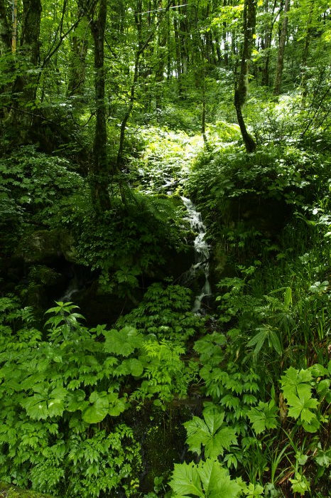 e0307372_10214147.jpg