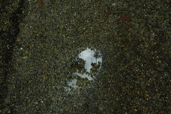 e0307372_10224338.jpg