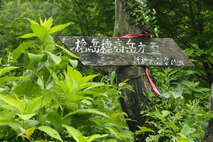 e0307372_10422519.jpg