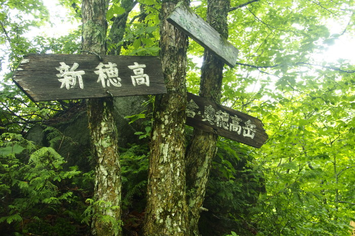 e0307372_10491345.jpg