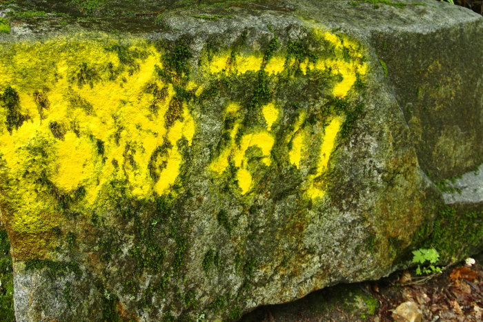 e0307372_10500034.jpg