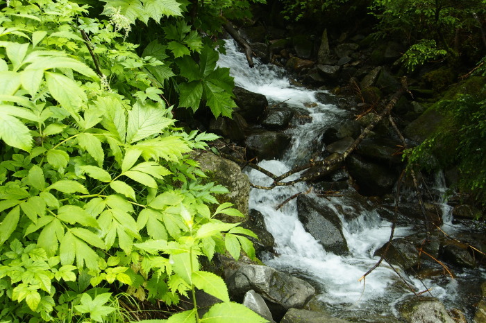 e0307372_10531654.jpg