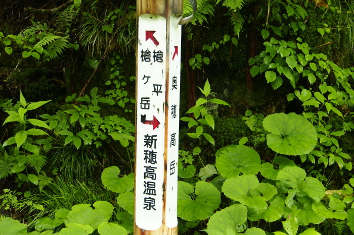 e0307372_10535445.jpg