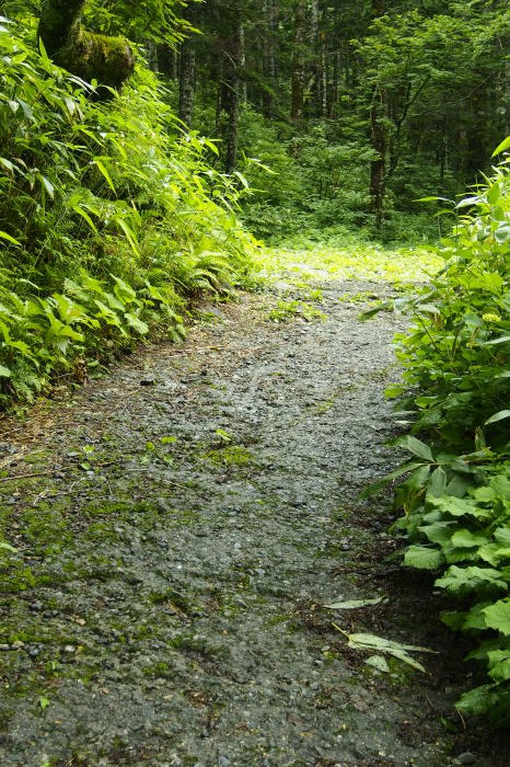 e0307372_10573500.jpg