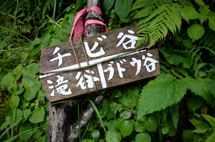 e0307372_20362241.jpg
