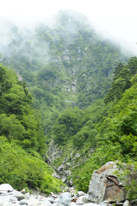 e0307372_20364064.jpg