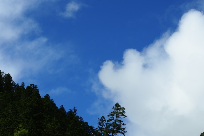 e0307372_21154796.jpg