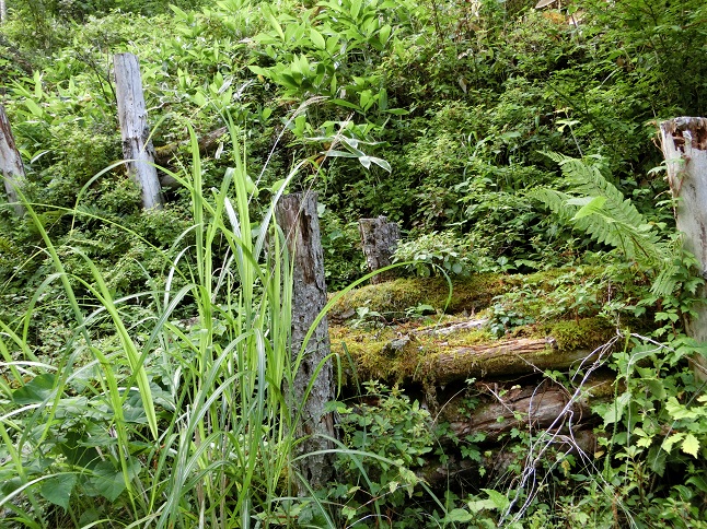 d0147774_22172929.jpg