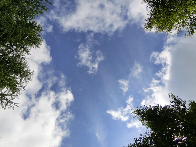 d0147774_22184167.jpg
