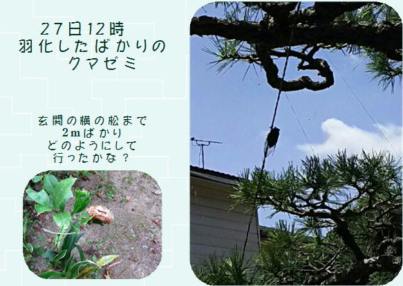 f0003174_114049100.jpg