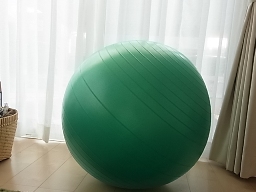 e0155085_17445287.jpg