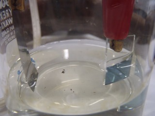 f0275885_10141352.jpg
