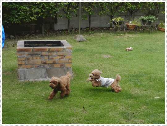 b0175688_22382938.gif