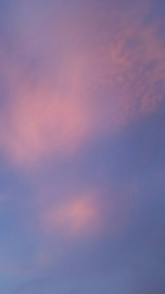 f0113108_06082808.jpg