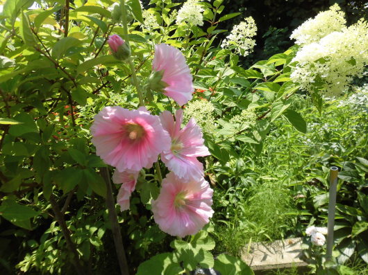 b0035611_20375643.jpg